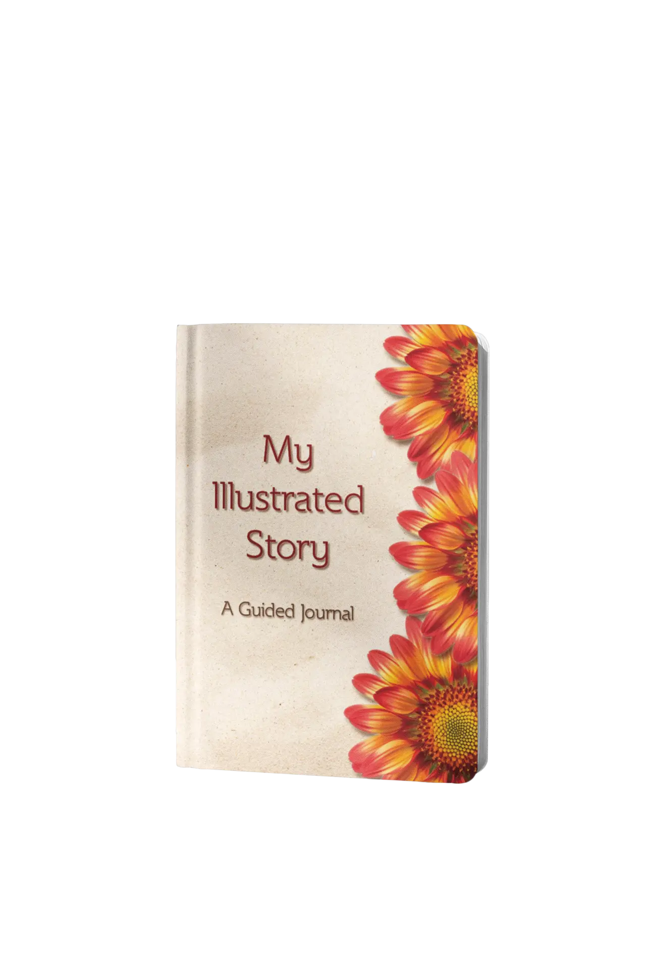My Illustrated Story sample